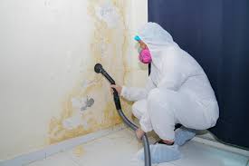 Best Mold Prevention Services  in Piednt, MO